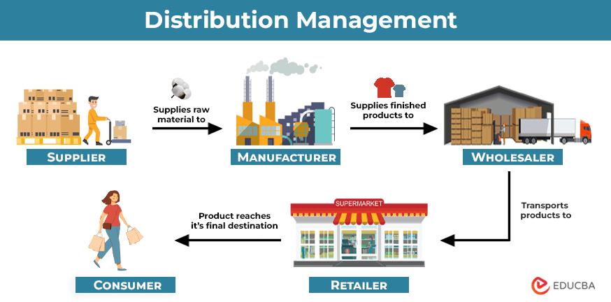 Distribution Management Scheme A scheme showing raw materials and product movement from supplier to consumer