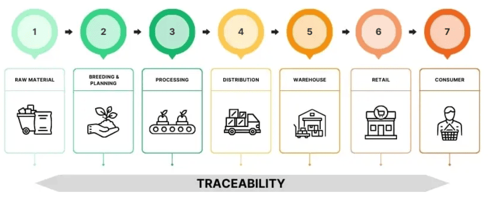 Traceability Across the Supply Chain A scheme showing that traceability works across all stages of the supply chain in food processing and selling businesses